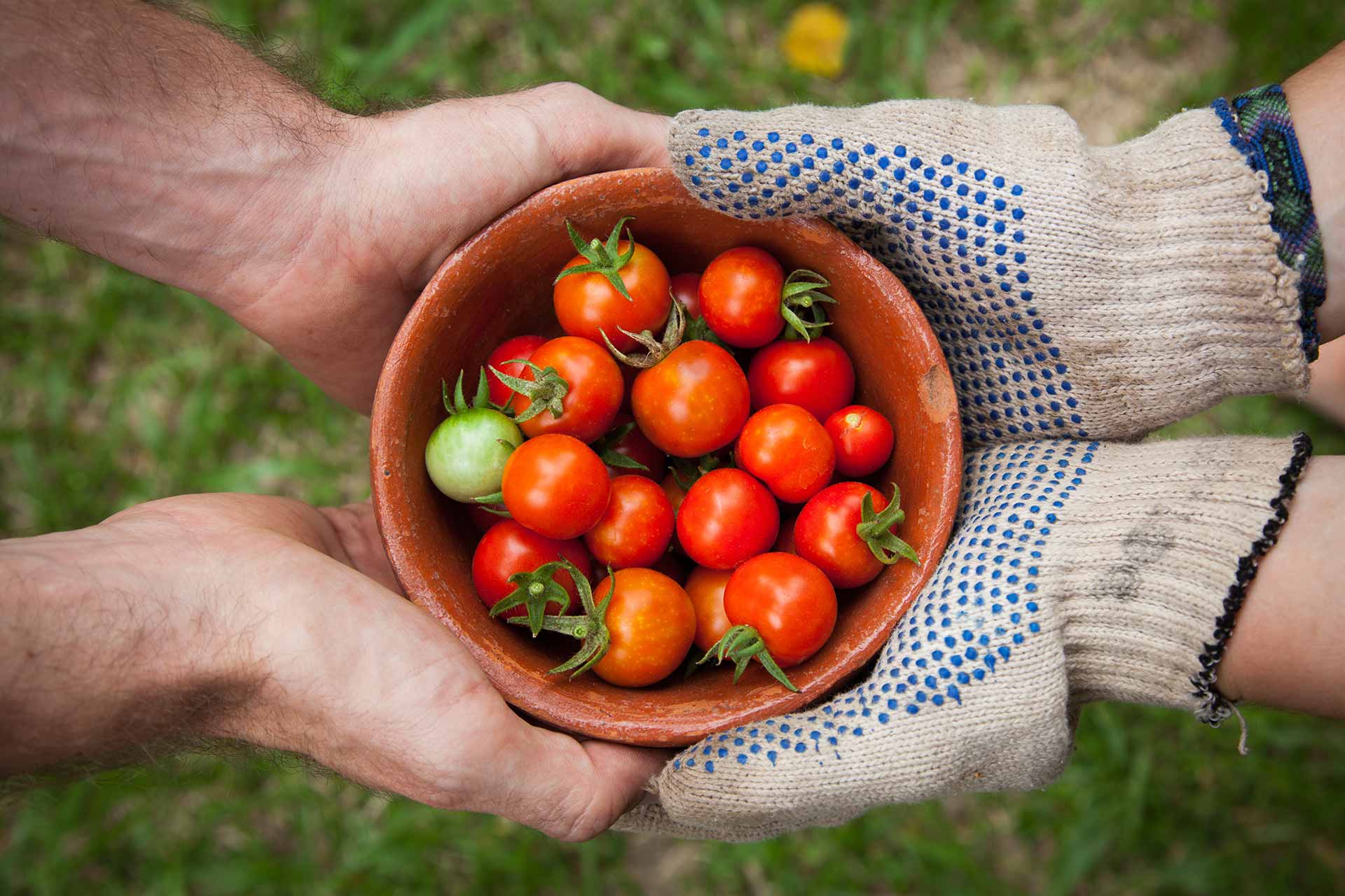 Organic Solution